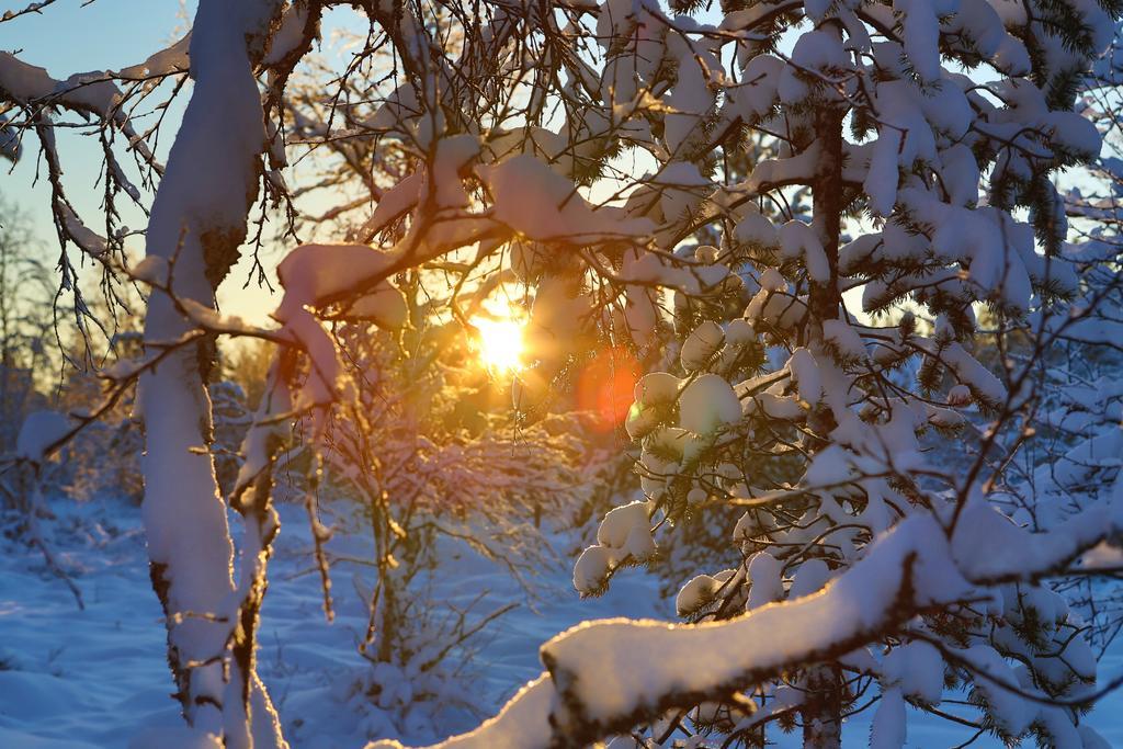 Wilderness Hotel Muotka & Igloos Саариселькя Экстерьер фото