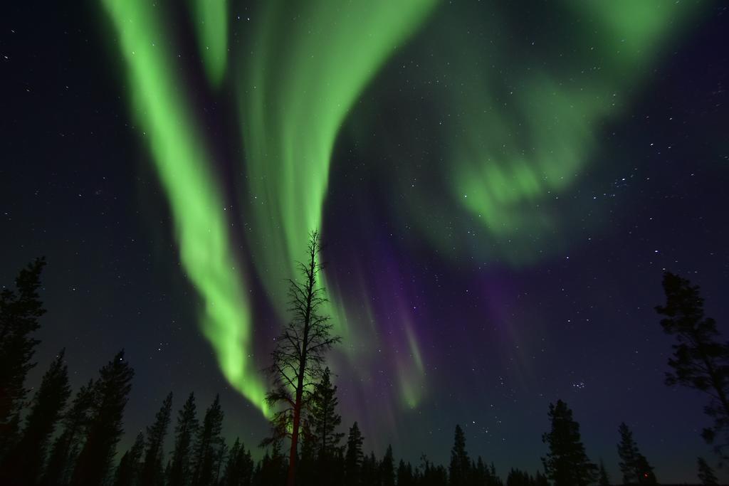 Wilderness Hotel Muotka & Igloos Саариселькя Экстерьер фото