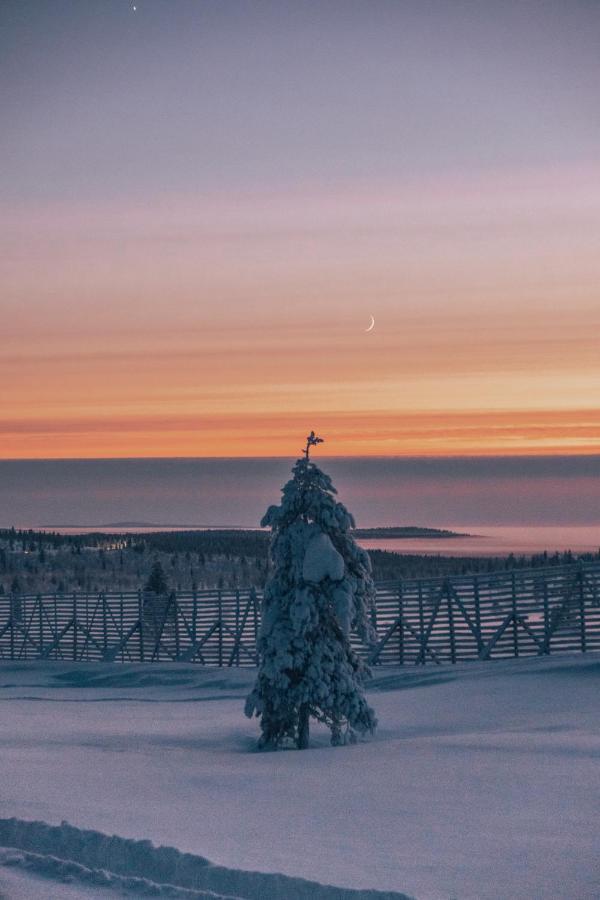 Wilderness Hotel Muotka & Igloos Саариселькя Экстерьер фото